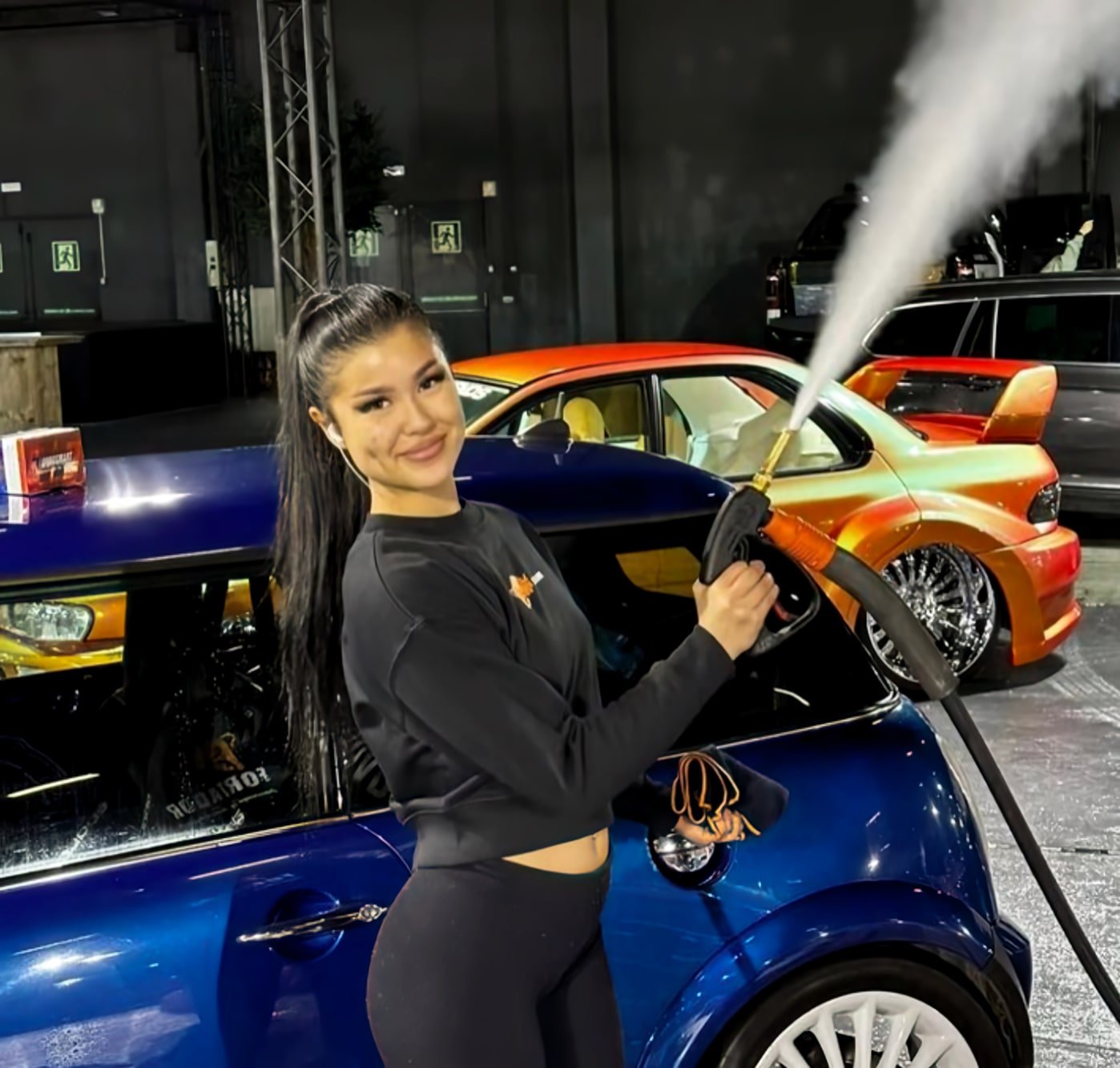 Professional Detailing